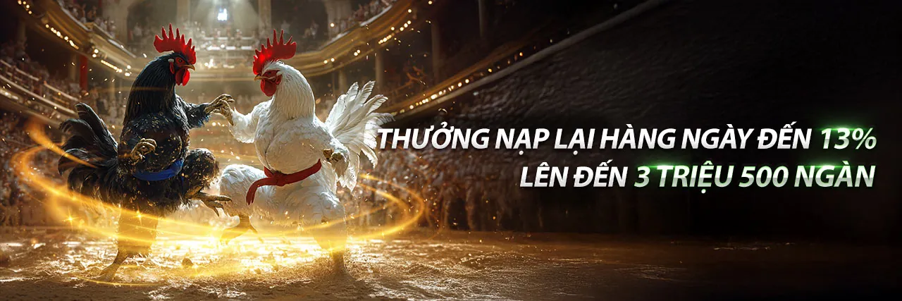 Ứng dụng di động đá gà trực tiếp Campuchia Thomo